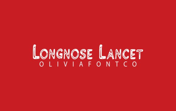 Longnose Lancet Font: Practical Branding for Growing Businesses
