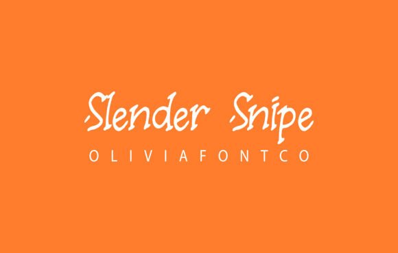 Slender Snipe: A Designer's Take on This Refined Serif
