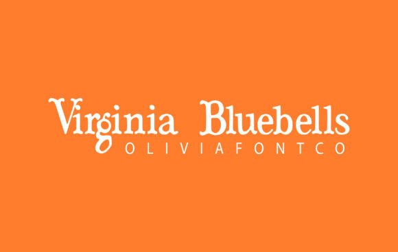 Testing Virginia Bluebells for Modern Web Design Layouts